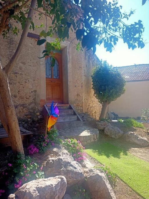 Le Clos Du Pin Thezan-les-Beziers Esterno foto